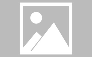 烟台武清网站建设方案（天津武清政府招标网）
